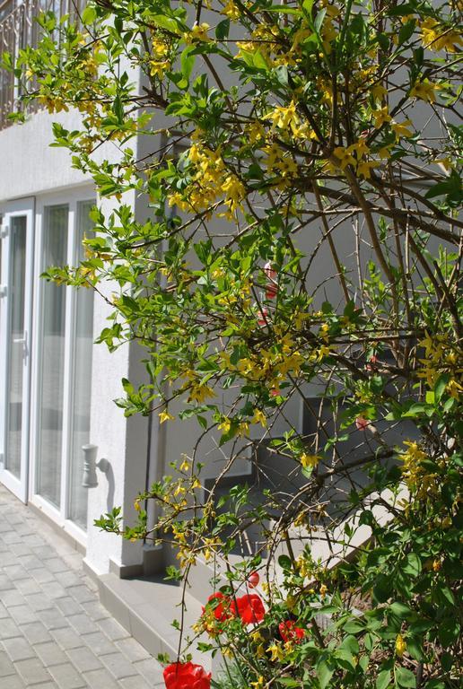 I Love Heviz Apartments エクステリア 写真