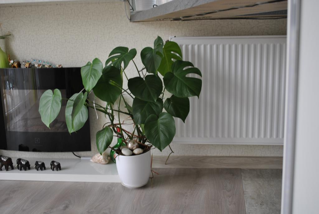 I Love Heviz Apartments エクステリア 写真