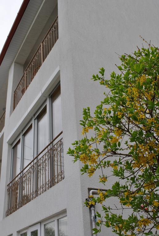 I Love Heviz Apartments エクステリア 写真